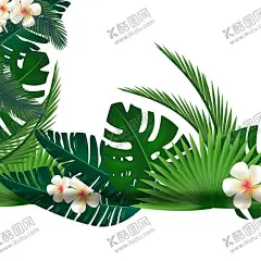 芭蕉叶边框 【酷图网】树叶,芭蕉叶,边框,花边,相框,画框,框,PNG,免扣,
