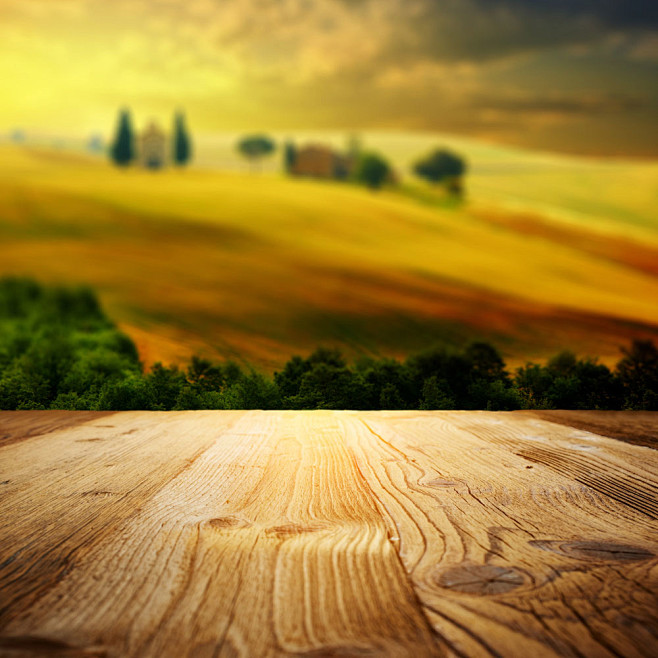 田野绿树前的木板 自然风景