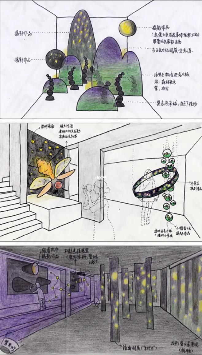  展览策划｜星光萤火，夜色下的荧光镜头