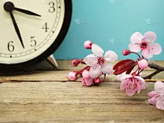 春天,时区,夏令时,前进的道路,钟,分针,留白,古董,水平画幅,樱花