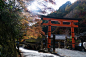 爱宕神社一的鸟居和点缀它的阳光透出的红叶照片素材