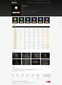 Fr_VIP_未登录