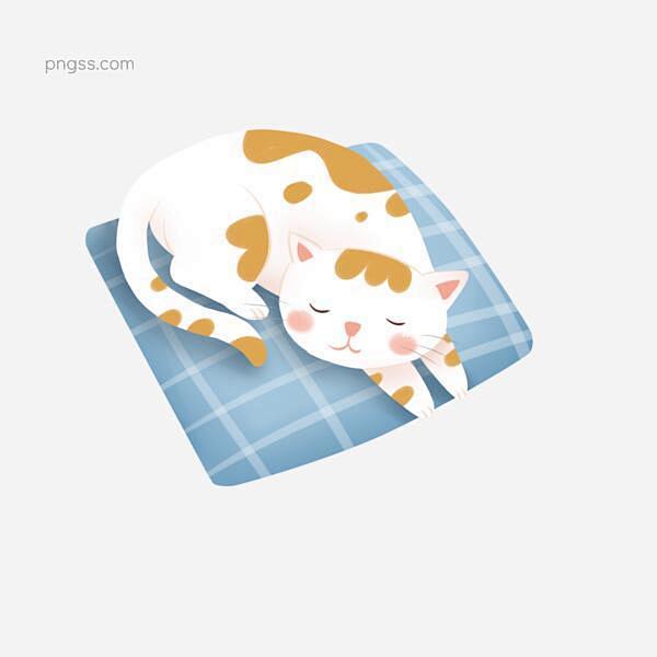 手绘枕头上睡觉的猫咪插画元素图片大小20...