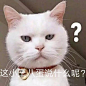 今日神段丨为什么不让爸妈看自己朋友圈？因为骚到没朋友！