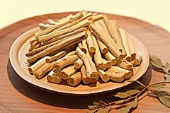 中医甘草中草药药材插画