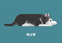 zttann709采集到爱动的世界