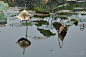 河塘秋色 - POCO旅游社区-旅游摄影图片交流平台－POCO.CN 我的照片 我的空间