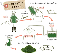 【歌舞伎応募用】DHC乳酸菌と酵素がとれる よくばり青汁 | オンラインショップのDHC : 【歌舞伎応募用】DHC乳酸菌と酵素がとれる よくばり青汁はDHCだから実現！栽培・製法・配合成分にこだわった至極の青汁。2,754円。品質にこだわり、お求めやすい価格を追求したDHCの【歌舞伎応募用】DHC乳酸菌と酵素がとれる よくばり青汁は多くの方にも安心してお使いいただける人気のオンラインショップ