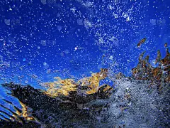 透过迷雾_5258608456