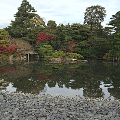 折落采集到日本庭院实景
