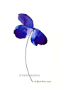 Art, Print, Giclee, Print of Watercolor Painting: Blue Violet Beauty