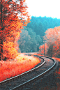 (9) Tumblr