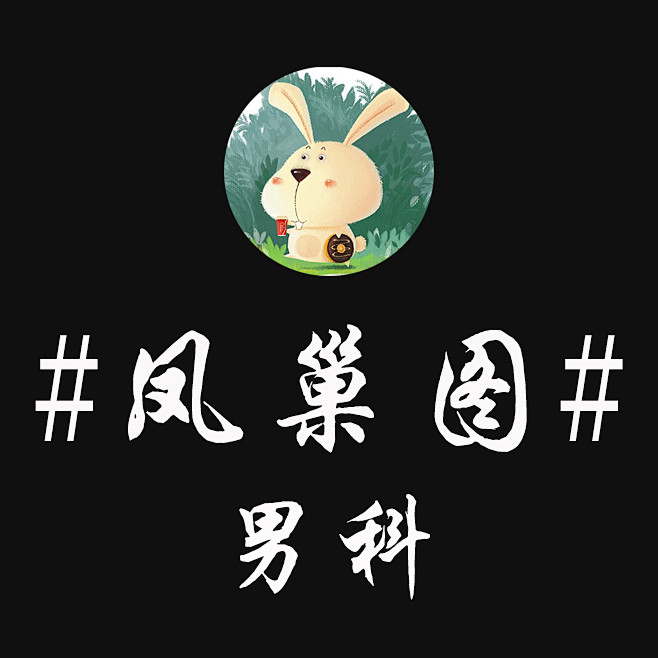 凤巢图男