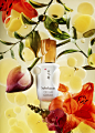 _s29_SULWHASOO_FirstCareActivatingSerum_v2.jpg