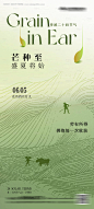编号：36530024292241603【享设计】源文件下载-芒种节气创意海报