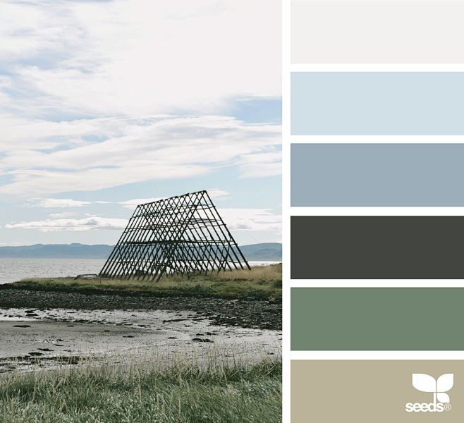 { color view } image...