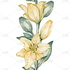 黄色百合花的无缝边框。
