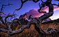 Hand Of God by Timothy Poulton on 500px