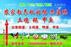 农家散养鸡鸭鹅  - 源文件下载【酷图网】生态散养鸡,原生态广告,生态养殖海报,散养鸡鸭鹅,养殖广告,土鸡养殖,绿色食品,土鸡批发,养殖户,绿色健康,户外广告,绿色广告,生态广告,广告设计,展板模板,PSD分层,200DPI,PSD