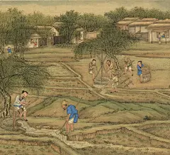 古人种棉花｜汲水灌溉 - 小红书