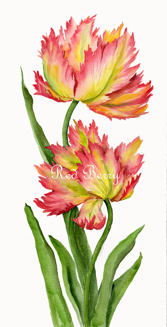 Floral Art Watercolo...