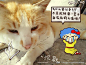 Afro Cat 小包子涂鸦日记 生活 猫 投稿 宠物 可爱 原创摄影 原创插画 原创 