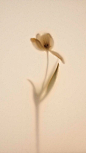 292 Pinterest