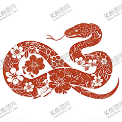 花鱼子采集到插画|摄影