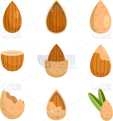 杏仁,胡桃,种子,食用油,计算机图标,食品,榛子树,水果,布置,花