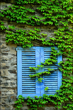 贺兰玥瑶采集到Door&Window