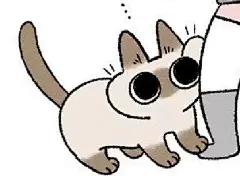 【图片】暹罗猫小豆泥表情包【动漫表情包吧】_百度贴吧