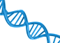 DNA高清PNG图片
