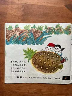 80年代三瓜两枣都有专属歌谣！ - 小红书