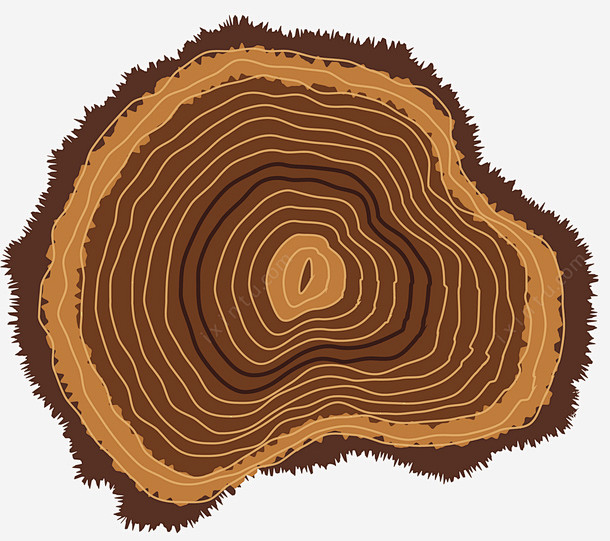 锯齿状深色树木年轮页面网页平面电商创意素材