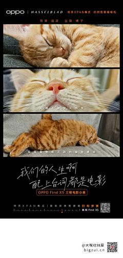 眼眸余泪采集到采集 - 文字 设计 排版