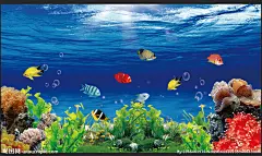 1920x1080海底高清壁纸的 搜索结果_360图片