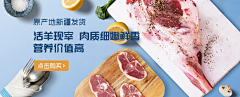 自由逍客采集到电商banner