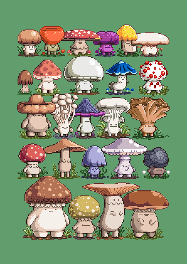 ???MUSHROOM BOYS???