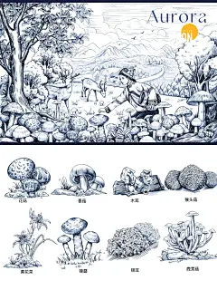 原创品牌素描线描菌菇商业包装插画设计