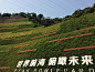 搜景观网|搜景观平台-让优秀脱颖而出！