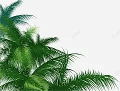 沙滩海报小清新绿色植物树叶 平面电商 创意素材