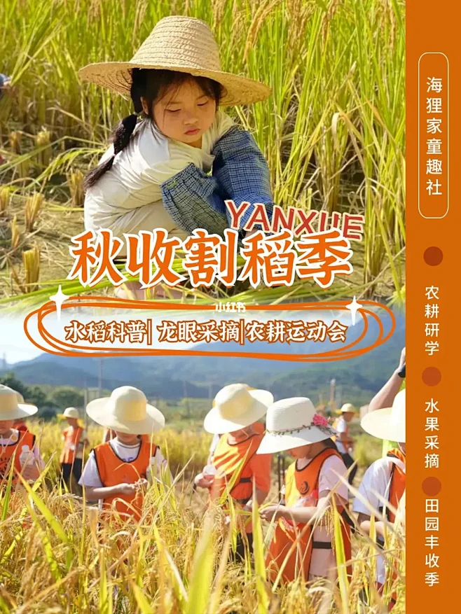 农耕研学|收稻拾稻，感受秋收的意义-花瓣网