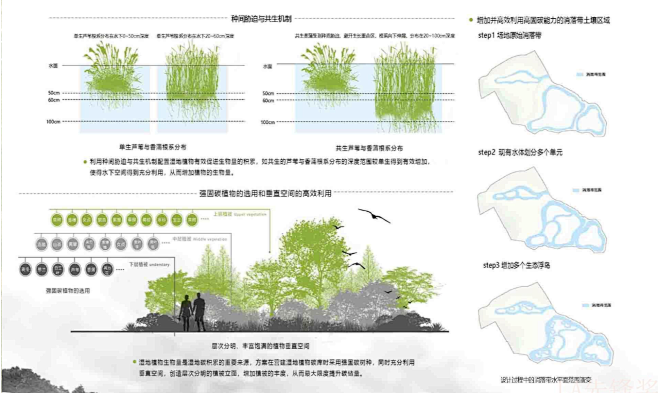 营建小微湿地碳汇银行——一场基于社区营造理念的南京西宁社区绿地规划设计
