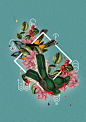 Creative Collage, Design, Poster, Behance, and Tropical image ideas & inspiration on Designspiration