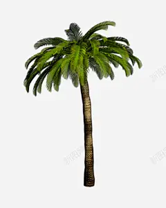 高清真实免扣树木 页面网页 平面电商 创意素材