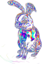 气泡兔