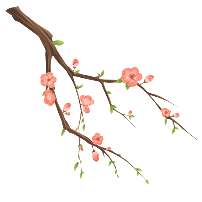 手绘粉色梅花花卉植物元素