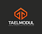 Taelmodul标志设计 橙色 T字母 箭头 向上 橘红色 菱形 商标设计  图标 图形 标志 logo 国外 外国 国内 品牌 设计 创意 欣赏