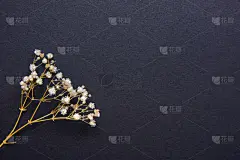 留白,复活节,干的,模板,母亲节,时尚,小的,嫩枝,春天