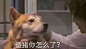 43c117a5332e34ddf350085e1f1bcd81c26537e09274-QK9zH9